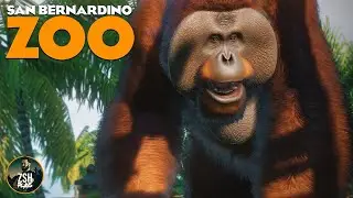 Building a Primate Paradise in Franchise Mode! | San Bernardino Zoo | Planet Zoo