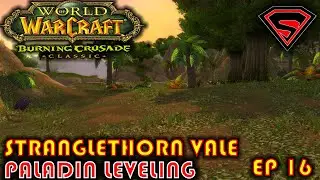 WOW BURNING CRUSADE ALLIANCE PALADIN RUN [WOW CLASSIC] - RUN TO WOTLK EP 16