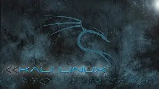 Things to do after installing Kali Linux