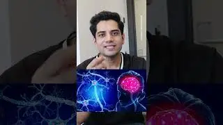 Apke words apke brain par affect karte hai 