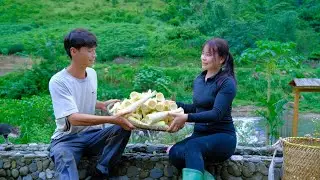 Vy Harvests bamboo shoots to sell at the market, grows flowers, gardens - Living off the grid