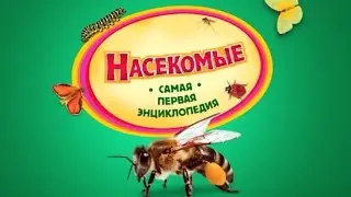 Хочу Знать ВСЕ! Насекомые - Детская Энциклопедия ♥ Мультик Игра ♥ 