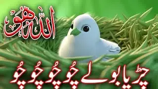 Allah Ho Allah Ho / Chidriya boli chu chu chu chu Poem English poem for kids / English  Dream Toon