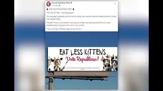 Arizona Republicans put up Eat Less Kittens billboard on false claims against Haitians