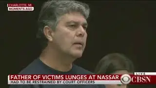 Watch: Father of victims lunges at Nassar