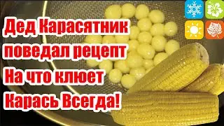 Насадка на Карася. Кукурузное тесто для карася. Рыболовная насадка