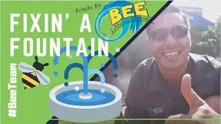 Fixin' a Fountain w/The BeeTeam