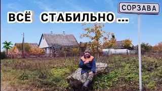 Осенний сезон - сбор урожая и завершение огородных дел ...