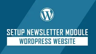 How to Install and Use Newsletter Module on WordPress Website?