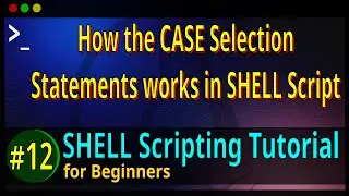 12 | How the CASE-ESAC Statements work in BASH SHELL Script