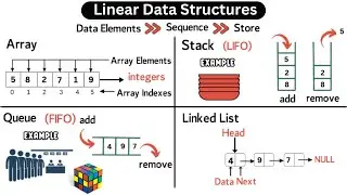 Linear Data Structures | Data Structures Type | Coding With Clicks