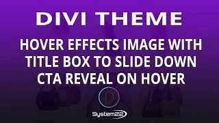 Divi Theme Image With Title Box To Slide Down CTA Reveal On Hover 👈