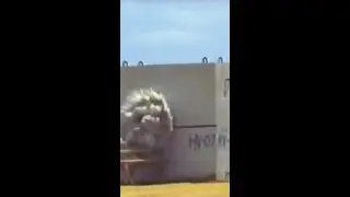Bombas que atravessam paredes? 