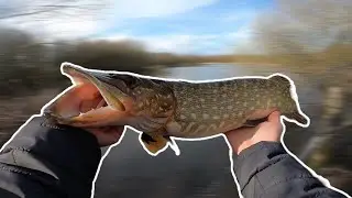 Don't do THIS when you are LURE fishing.