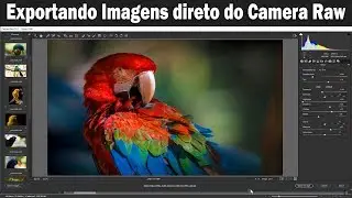 Exportanto imagens diretamente do Adobe Camera Raw