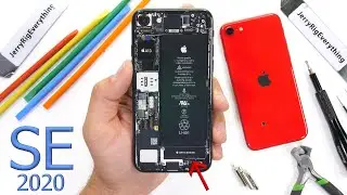 iPhone SE (2020) Teardown! - Lets talk about Vibrators...