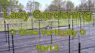 Lazy Gardening, Part 3 - Grow Vertically