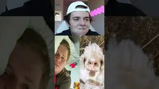 This video makes 97% of people laugh🤣😨