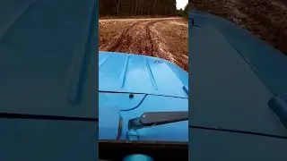 Поездка на коп 