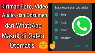 Foto, Video, Musik, File Kiriman WA Tersimpan di Galeri Secara Otomatis? Ini Cara Atasinya...