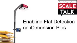 ScaleTalk: Enabling Flat Detection on iDimension Plus