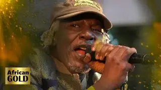 African Gold - Alpha Blondy