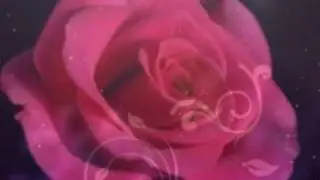 Дарите женщинам цветы....avi