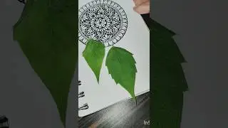 ✳️ 💖 mandala art DREAM CATCHER  💖#shorts #dreamcatcher / how to draw mandala #stepbystep