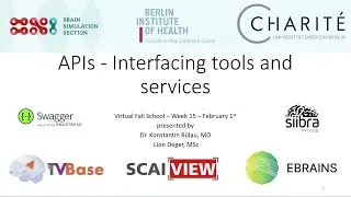 APIS - Interfacing tools and services - Dr. Konstatin Bülau, Lion Deger