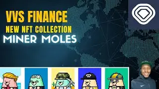 VVS Finance Gets Into Crypto Gaming VVS Finance Miner Moles