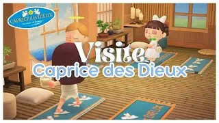 👼 Visite de l'île Caprice des Dieux sur Animal Crossing New Horizons