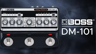 BOSS DM-101 Delay Machine Sound Demo (no talking) with Roland SH-01a Synthesizer