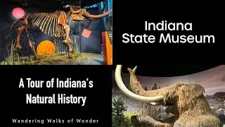 Exploring The Indiana State Museum: From Dinosaurs To Native Americans In Indianapolis - Part 1