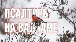 ПСАЛТИРЬ В ВАЛААМСКОМ МОНАСТЫРЕ (Эфир 29 ноября 2023 года)