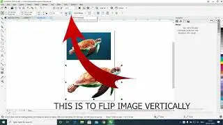 Flip or Mirror an Image using CorelDraw