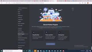 APPLYING my Discord Server for the PARTNER PROGRAM!
