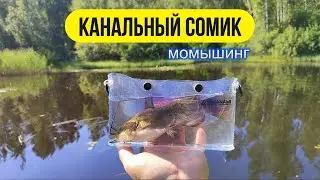 #мормышинг | Канальный сомик спиннингом на мормышку |