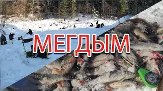 РЫБАЛКА НА ТАЁЖНОЙ РЕКЕ. МЕГДЫМ НА МОРМЫШКУ.