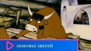 СТУДИЯ 