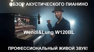 акустическое пианино Wendl&Lung W120BL