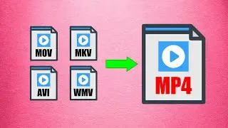 How To Convert Any Video File To MP4