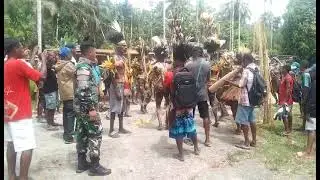 TNI AD (satgas pamtas) acara adat suku Walsa di Papua (Indonesia Indah)