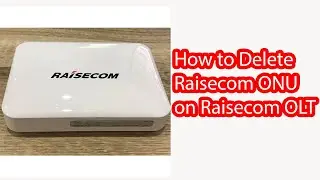 how to delete raisecom onu on raisecom olt 