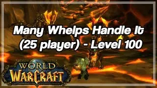 Many Whelps Handle It 25 player - Level 100