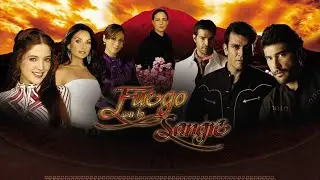 Fuego en la Sangre | (2008): Todas las Cachetadas