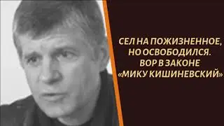 Сел на всю жизнь, но вышел. Вор в законе 