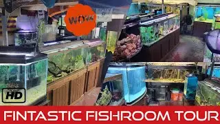 THE FULL TOUR! Complete fish room tour and plans!