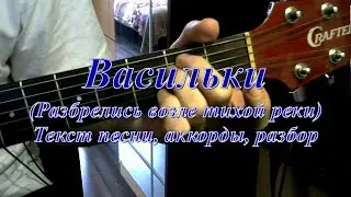 Васильки (Разбрелись возле тихой реки). Текст, аккорды, разбор