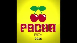 Pacha 2016