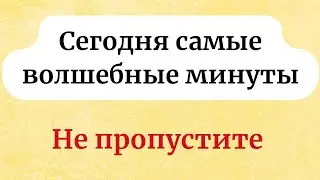 Сегодня самые волшебные минуты. Будьте готовы и не пропустите.